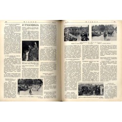 Wiarus. Organ Korpusu Podoficerów Zawodowych Wojska Lądowego, Marynarki Wojennej i Korpusu Ochrony Pogranicza. R.4 (1933). Nr 27