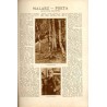 Tęcza. Ilustrowane pismo tygodniowe. R.3 (1929). Z. 36 (7 września 1929) / Bogdan Bartłomiej Nowakowski / Apoloniusz Kędzierski