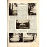 Tęcza. Ilustrowane pismo tygodniowe. R.3 (1929). Z. 36 (7 września 1929) / Bogdan Bartłomiej Nowakowski / Apoloniusz Kędzierski