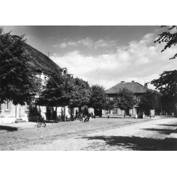 "poznańskie - Rogoźno rynek 31-2469"