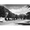 "poznańskie - Rogoźno rynek 31-2469"