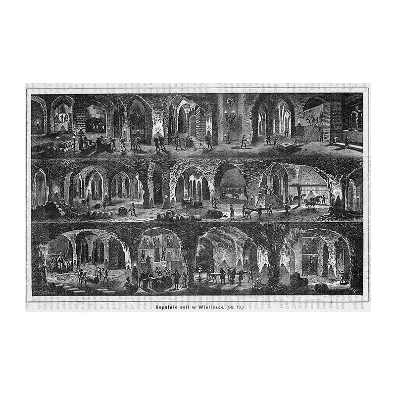 "Kopalnie soli w Wieliczce. [...]"