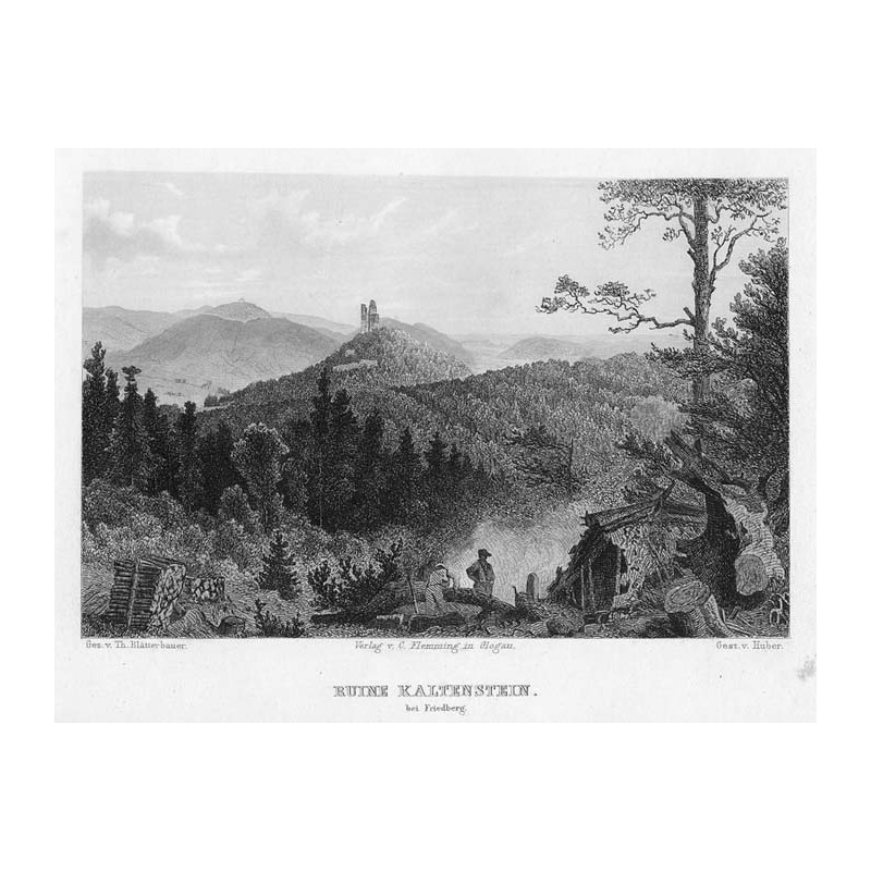 Ruine Kaltenstein bei Friedberg / "RUINE KALTENSTEIN. bei Friedberg."