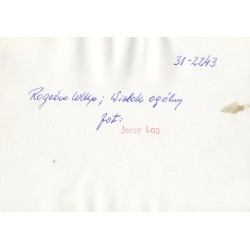 "Rogoźno Wlkp Widok ogólny 31-2243"