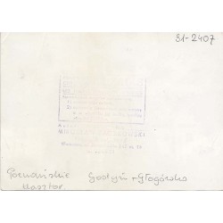 "Poznańskie Gostyń - Głogówko klasztor 31-2407"