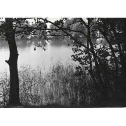 "Wojnowo Jezioro (Wojnowskie) fot. Jerzy Ląg Mur. Goślina 31-2240"
