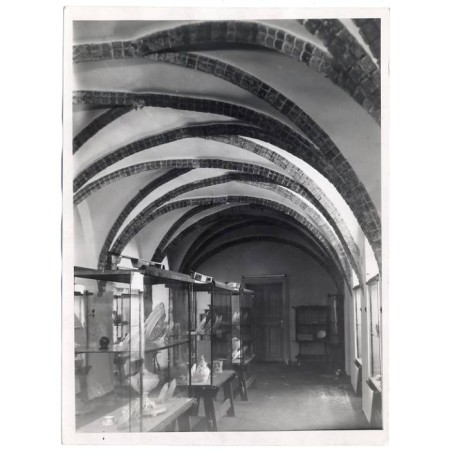 "Muzeum Okręgowe w Toruniu Ratusz Staromiejski - fragment wystawy "Ceramika i techniki produkcji" - 1954 r."