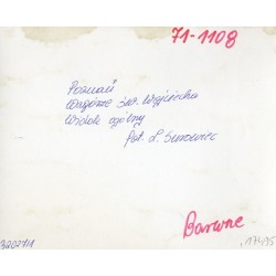"Poznań Wzgórze św. Wojciecha Widok ogólny fot. L. Surowiec 71-1108 32027/1 Barwne"