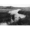 "Rogoźno Wlkp Nad "Wełną" fot: [...] 31-2241"