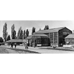 "Sosnowiec - Palmiarnia 23-342 [...]"