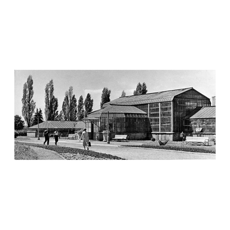 "Sosnowiec - Palmiarnia 23-342 [...]"