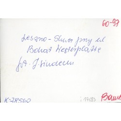 "Leszno - Skwer przy ul. Bohat. Westerplatte fot. J. Siudecki 60-97 K-28560 Barwne"
