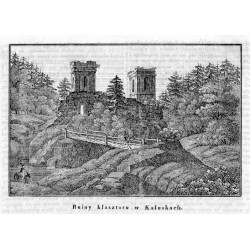 "Ruiny klasztoru w Kałuskach."