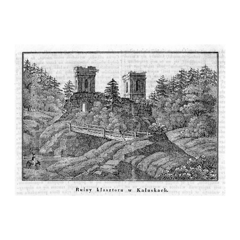 "Ruiny klasztoru w Kałuskach."