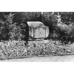 "Stęszew - pomnik (w lesie) w miejscu kaźni Polaków. 31-2213"