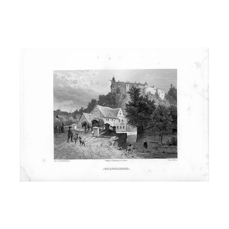Jawornik. Panorama miasta z zamkiem / "JOHANNISBERG."