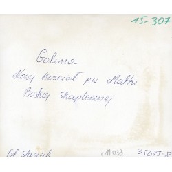 "Golina Nowy Kościół p.w. Matki Boskiej Skaplerznej fot. Stasiak 15-307 35673-8"