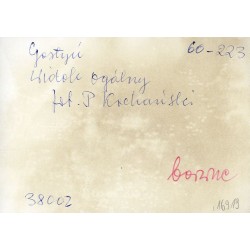 "Gostyń Widok ogólny fot. P. Kochański 60-223 38002 barwne"