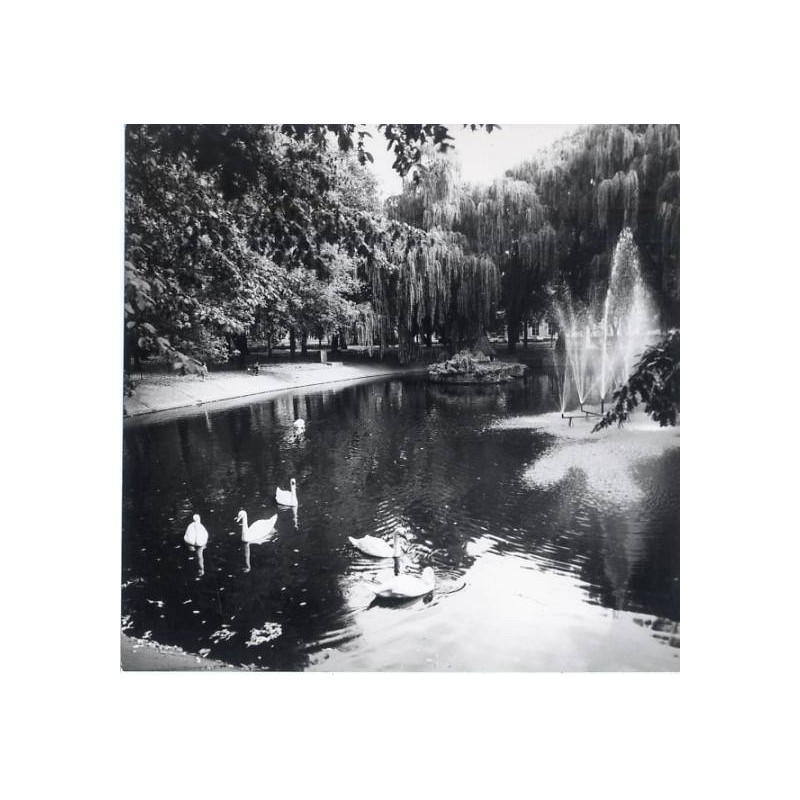 "Leszno Park im. Tadeusza Kościuszki fot. Stasiak 60-491 35884-3 Barwne"