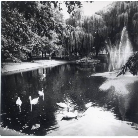 "Leszno Park im. Tadeusza Kościuszki fot. Stasiak 60-491 35884-3 Barwne"