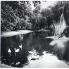 "Leszno Park im. Tadeusza Kościuszki fot. Stasiak 60-491 35884-3 Barwne"
