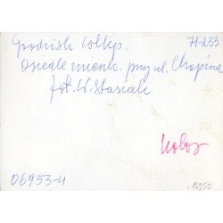 "Grodzisk Wlkp. Osiedle mieszk. przy ul. Chopina fot. W.Stasiak 71-233 06953-4 kolor"