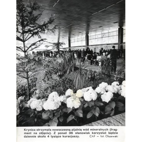 "Krynica otrzymała nowoczesną pijalnię wód mineralnych [...] CAF - fot. Olszewski"