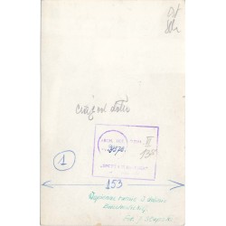 "Wapienne turnie w dolinie Bolechowickiej. Fot. J. Słupski"