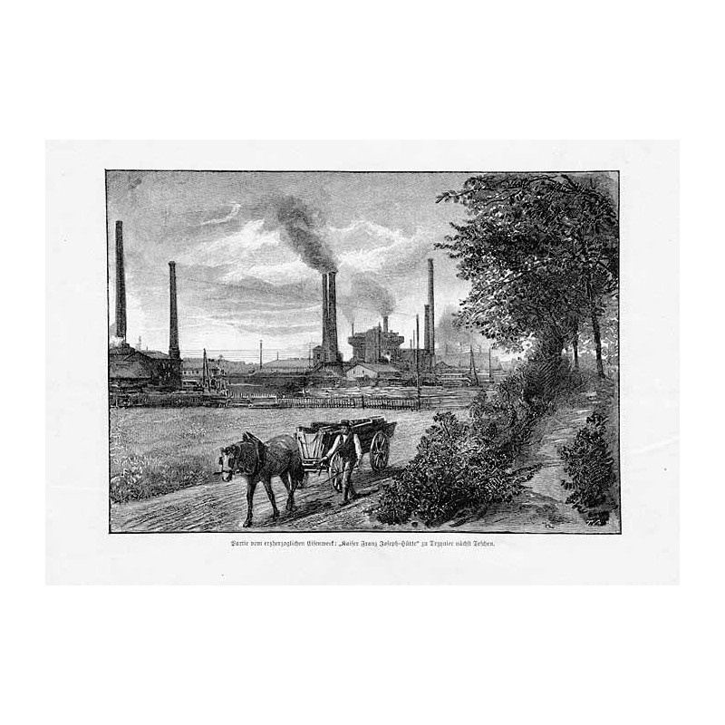 "Partie vom erzherzoglichen Eisenwerk: "Kaiser Franz Joseph-Hütte" zu Trzyniec nächst Teschen."