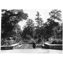 "Siemianowice - fragment parku miejskiego 23-1493 13-87 f"