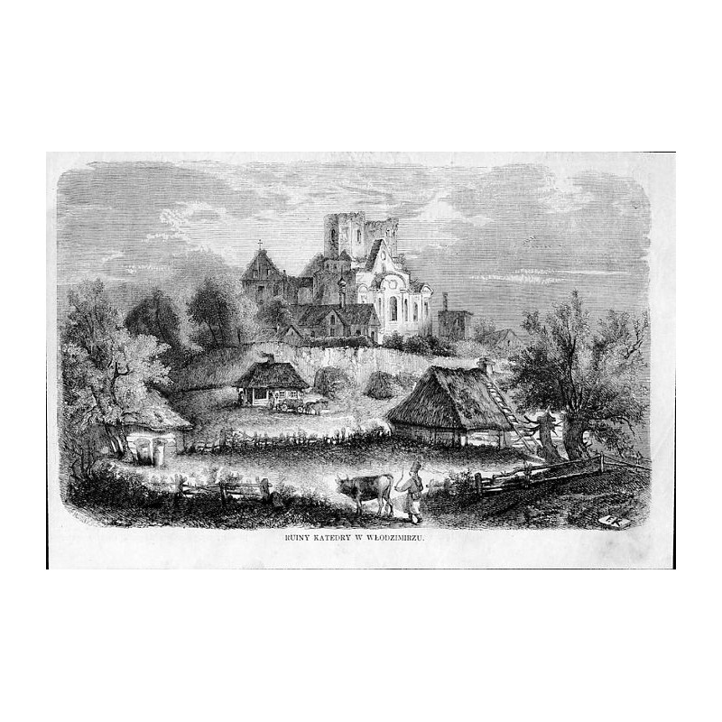 Ruiny katedry w Włodzimierzu / "RUINY KATEDRY W WŁODZIMIRZU."
