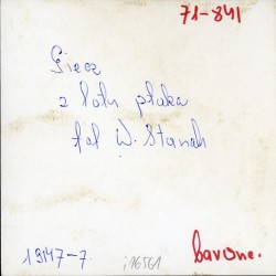 "Giecz z lotu ptaka fot. W. Stasiak 19147-7 71-841 barwne"