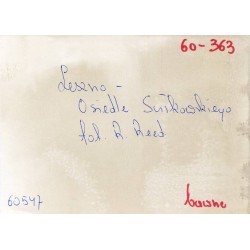 "Leszno - Osiedle Sułkowskiego fot. R. Reed 60-363 60547 barwne"