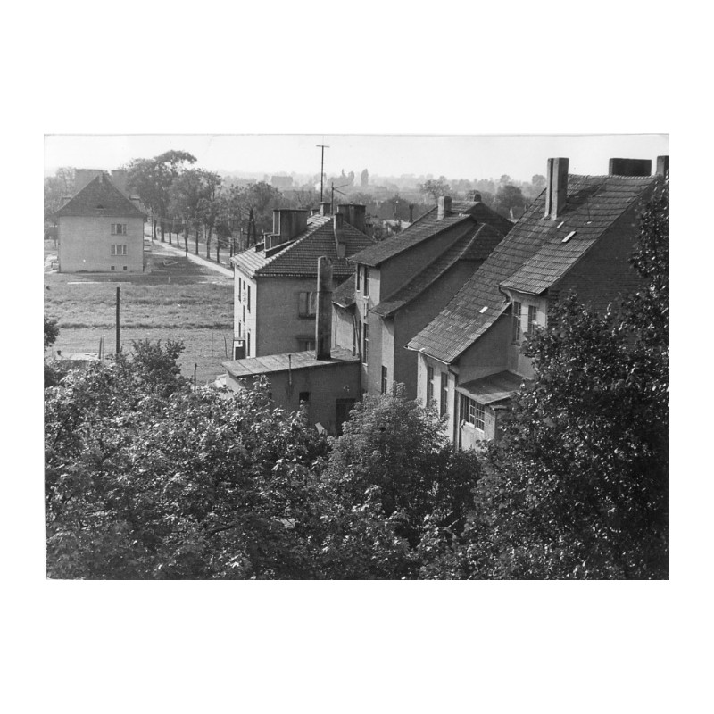 "Rogoźno ul. Dojazdowa fot. 31-2242"