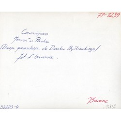 "Czerniejewo Jesień w Parku (Droga prowadząca do Dworku Myśliwskiego) fot. L. Surowiec 71-1239 33223-4 Barwne"
