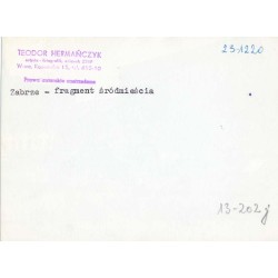 "Zabrze - fragment śródmieścia 23-1220 13-202 j"