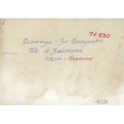 "Zaniemyśl - Jez. Raczyńskie fot. St. Jabłońska 59014 71-830 Barwne 1980 r - 10.0"
