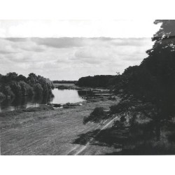 "W okolicach Nowego Miasta nad Wartą fot. L. Surowiec 71-1230 32686-7 Barwne"