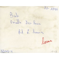"Buk Osiedle 700-lecia fot. L. Surowiec 71-1146 32048-4 barwne"