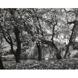 "Manieczki Jesienny Park / Pałac - Muzeum J. Wybickiego / fot. L. Surowiec 33236-5 71-1256 Barwne"