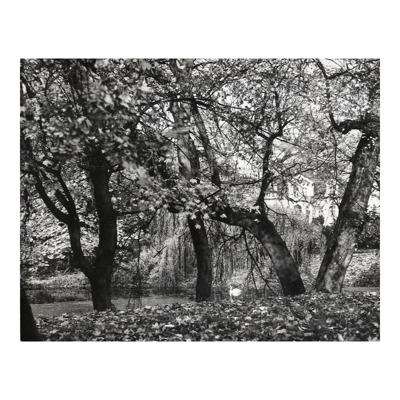 "Manieczki Jesienny Park / Pałac - Muzeum J. Wybickiego / fot. L. Surowiec 33236-5 71-1256 Barwne"