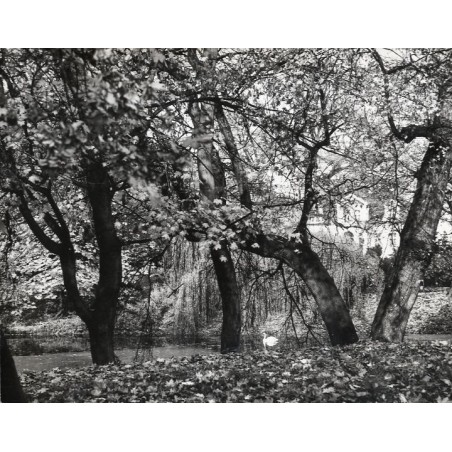 "Manieczki Jesienny Park / Pałac - Muzeum J. Wybickiego / fot. L. Surowiec 33236-5 71-1256 Barwne"