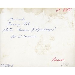 "Manieczki Jesienny Park / Pałac - Muzeum J. Wybickiego / fot. L. Surowiec 33236-5 71-1256 Barwne"