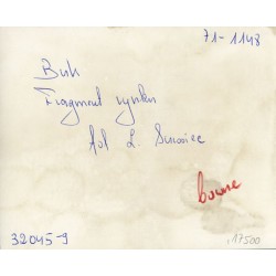 "Buk Fragment rynku fot. L. Surowiec 71-1148 32045-9 barwne"