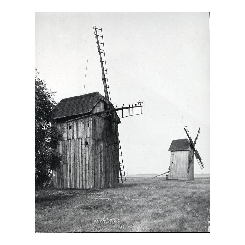 "Środy Wlkp. - Koszuty Wiatraki Koźlaki z XVIII w. fot L. Surowiec 32682-3 71-1212 Barwne"