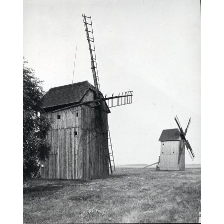 "Środy Wlkp. - Koszuty Wiatraki Koźlaki z XVIII w. fot L. Surowiec 32682-3 71-1212 Barwne"