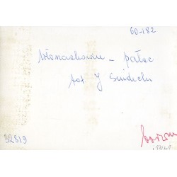 "Włoszakowice - pałac fot. J. Siudecki 60-182 32819 barwne"