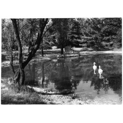 "Zabrze - fragment ogrodu botanicznego 23-1225 13-200 m"