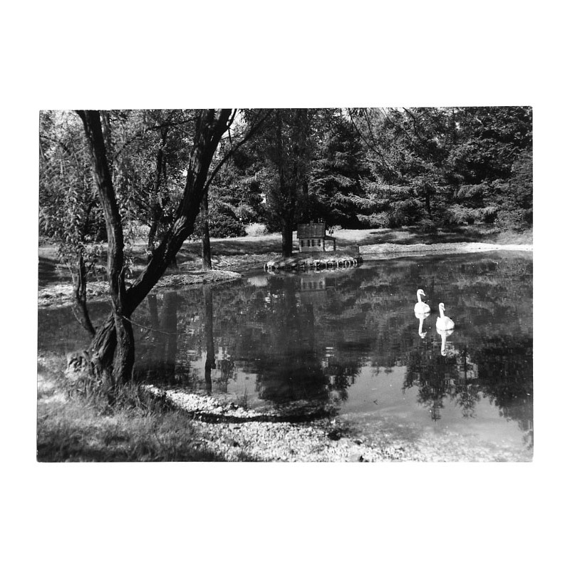 "Zabrze - fragment ogrodu botanicznego 23-1225 13-200 m"