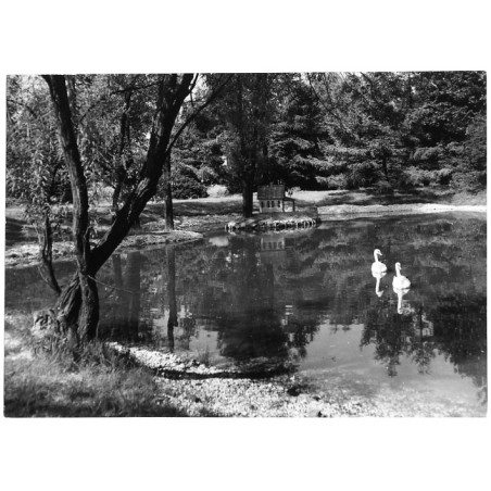 "Zabrze - fragment ogrodu botanicznego 23-1225 13-200 m"